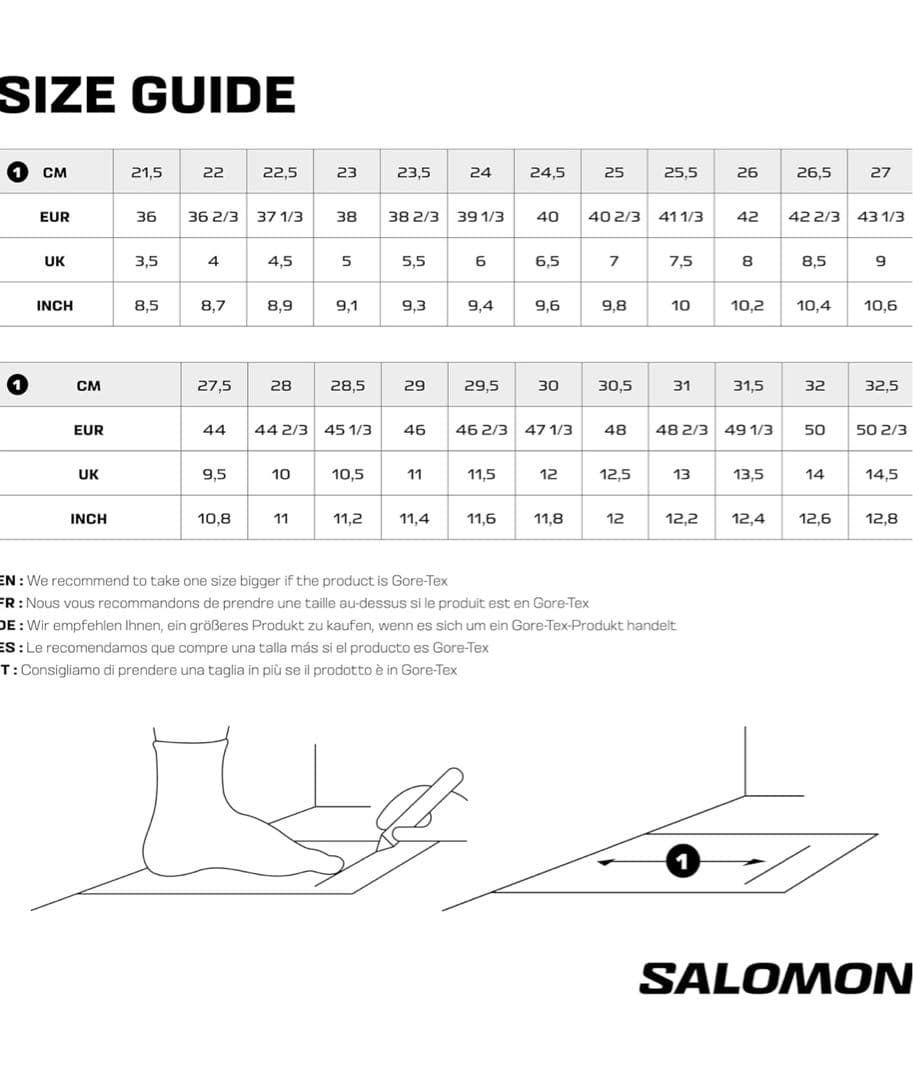 靴 SALOMON GORE-TEX X Ultra pioneer