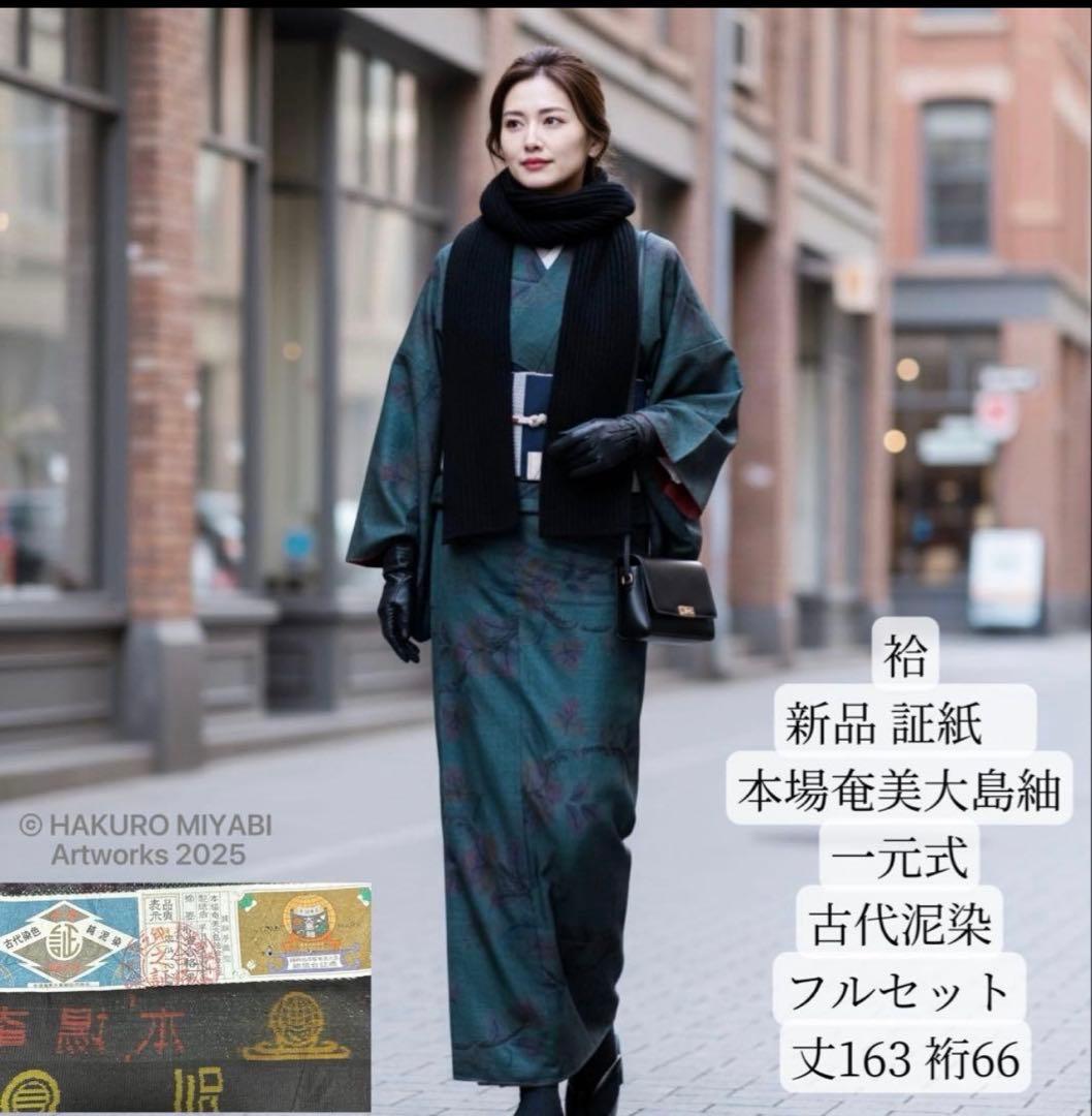 新品 美品　証紙　本場奄美大島紬　一元式古代泥染　フルセット　163/66