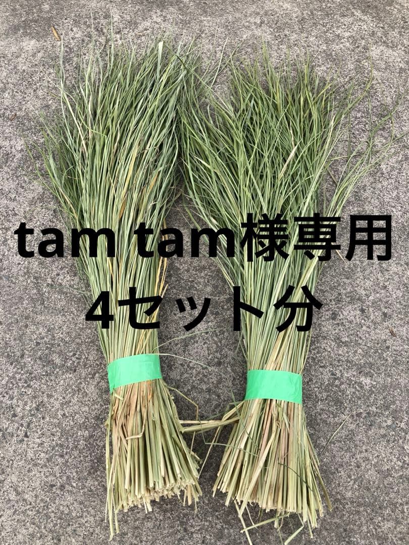 稲藁　しめ縄用　藁細工