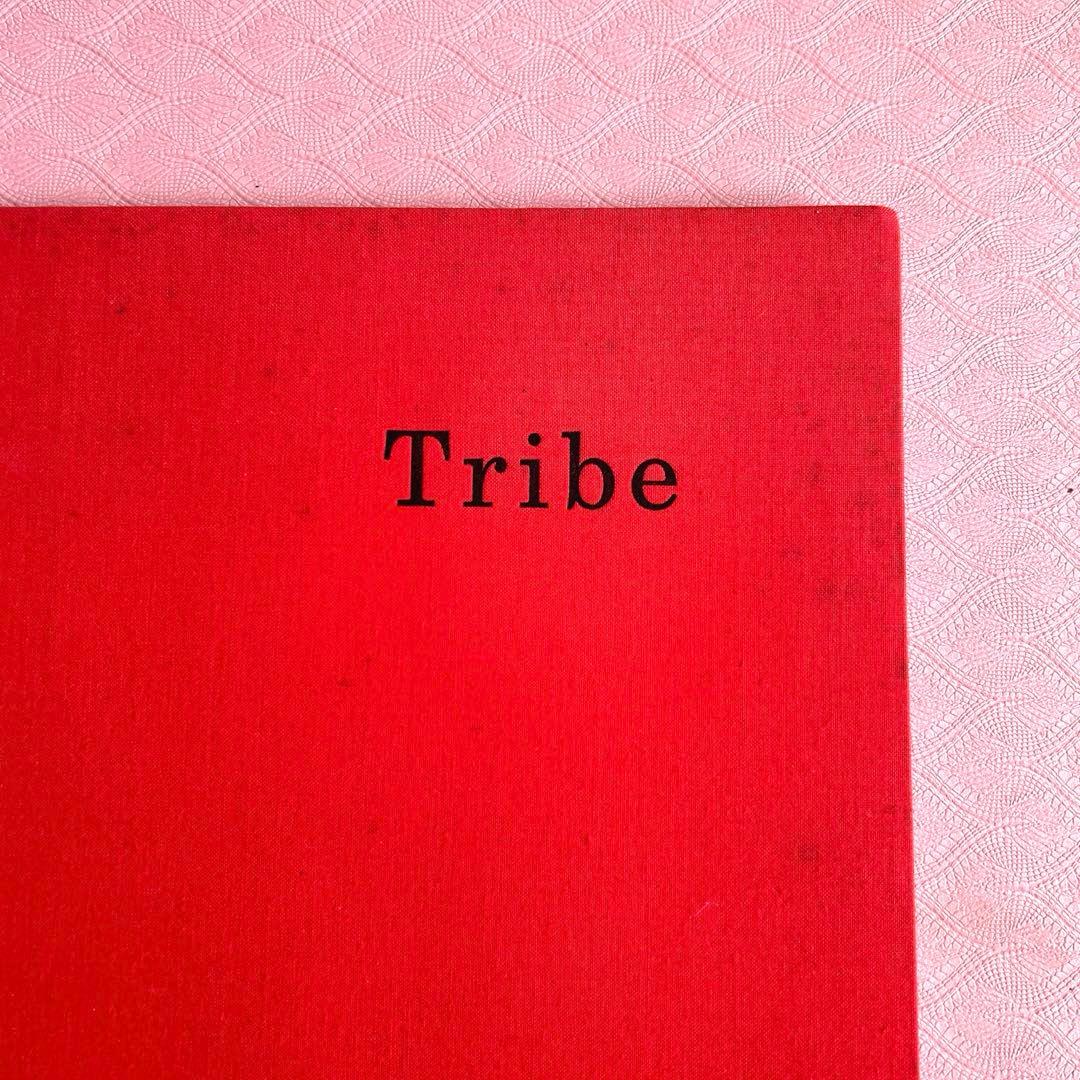 【レア】スタイリスト北村道子 作品集「Tribe」 撮影 藤井保