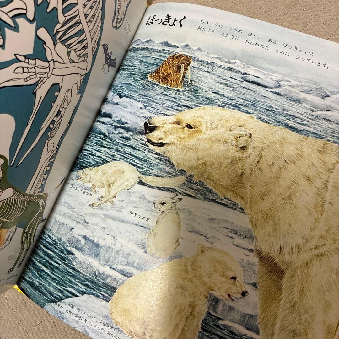 こどものための百貨20巻 定価53560円