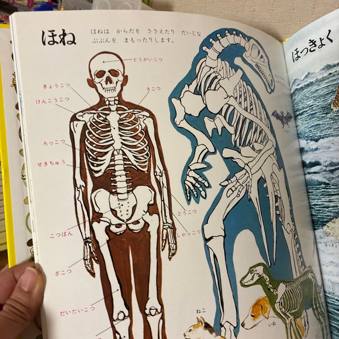 こどものための百貨20巻 定価53560円