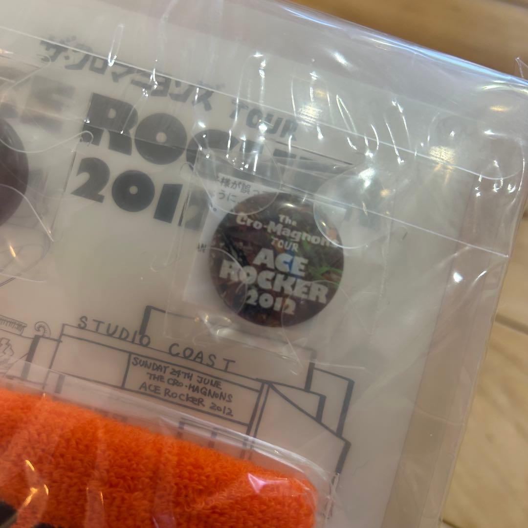 ☆クロマニヨンズ☆DVD ガンボインフェルノ　2014-2015 初回生産限定盤