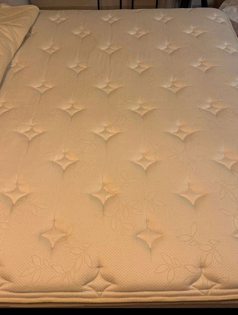 Bo Concept Austin クイーンサイズベッド　マットレス付き