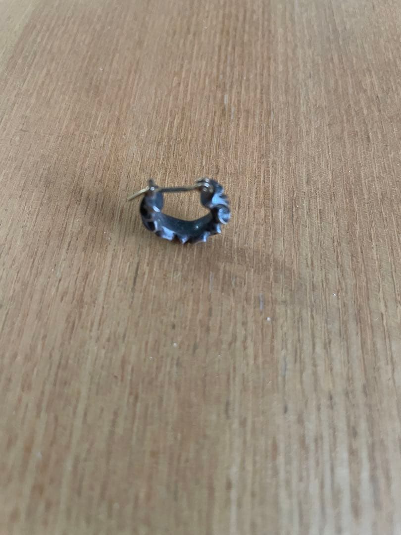 レナードカムホート　シルバーピアス