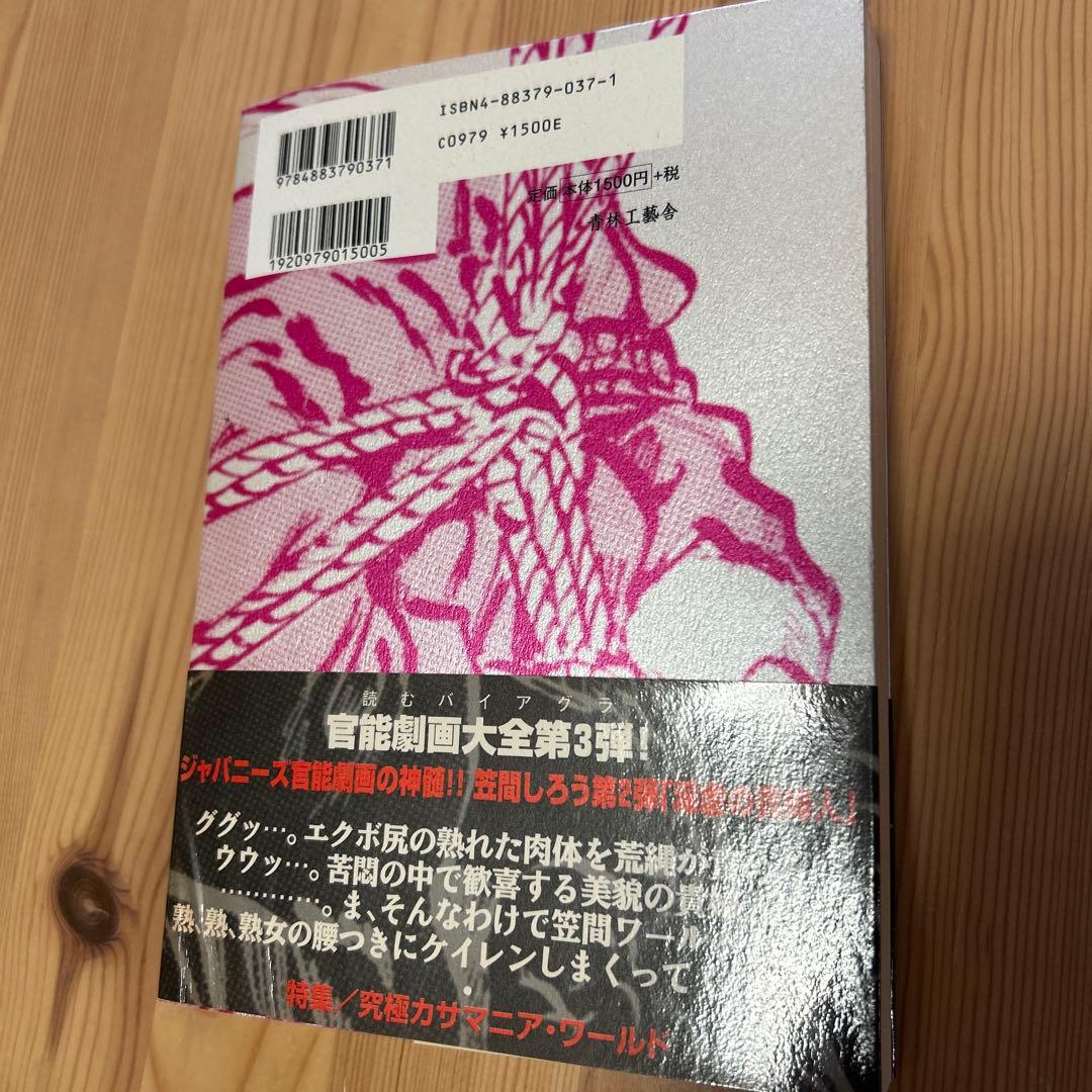 大幅値下げ‼️初版‼️あの責め絵師、笠間しろう/「淫虐の貴婦人」