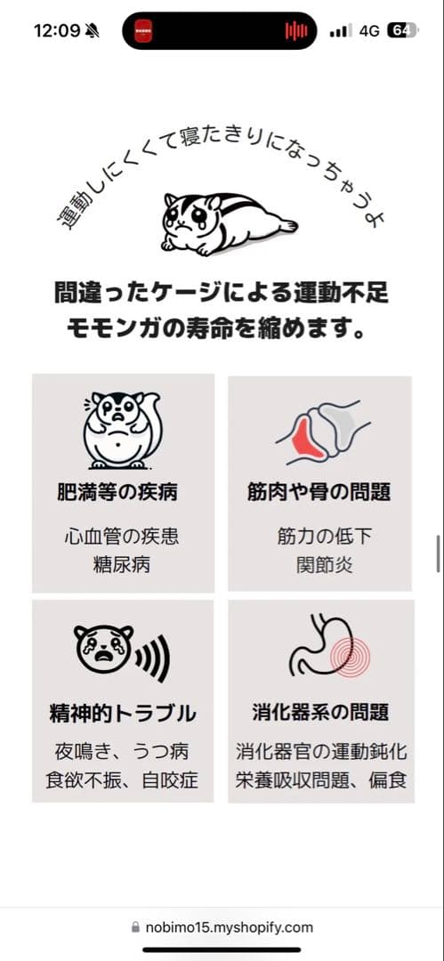 NEWステンレス10秒ケージ Ⅱ