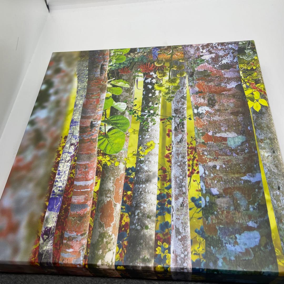 Do You Know Me Now? (修正盤付) David Sylvian