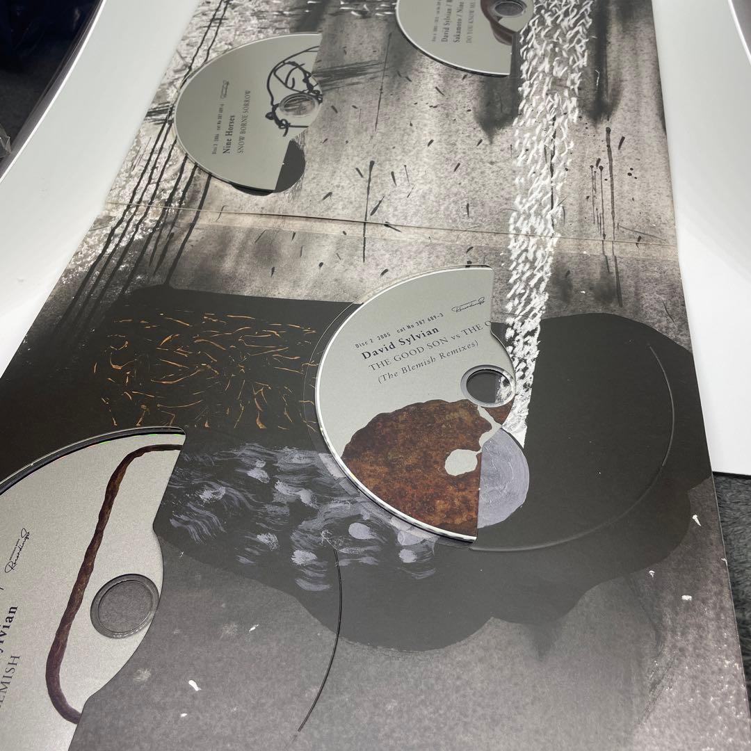 Do You Know Me Now? (修正盤付) David Sylvian