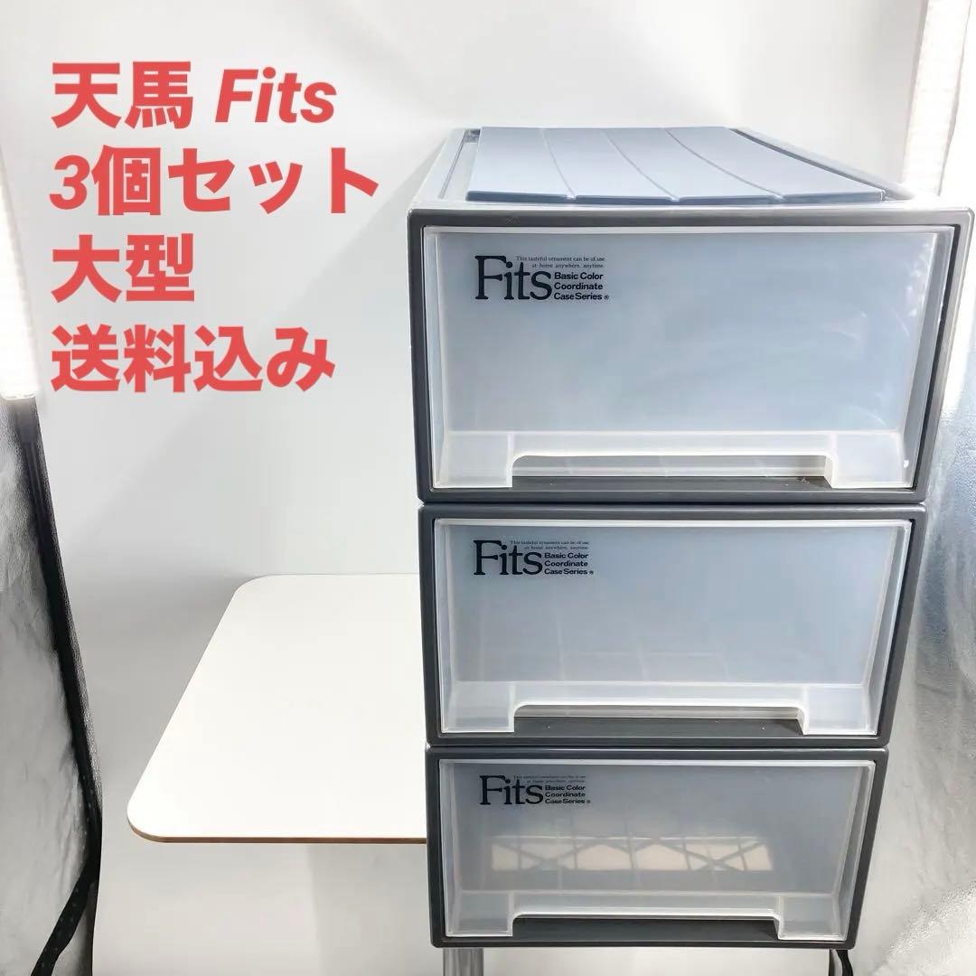 天馬 フィッツケース 押入れ収納 幅39×奥行74×高さ30 日本製 3個セット