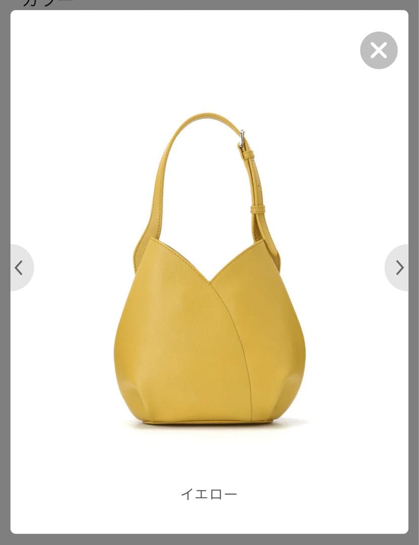 ミズバショウ　M イエロー