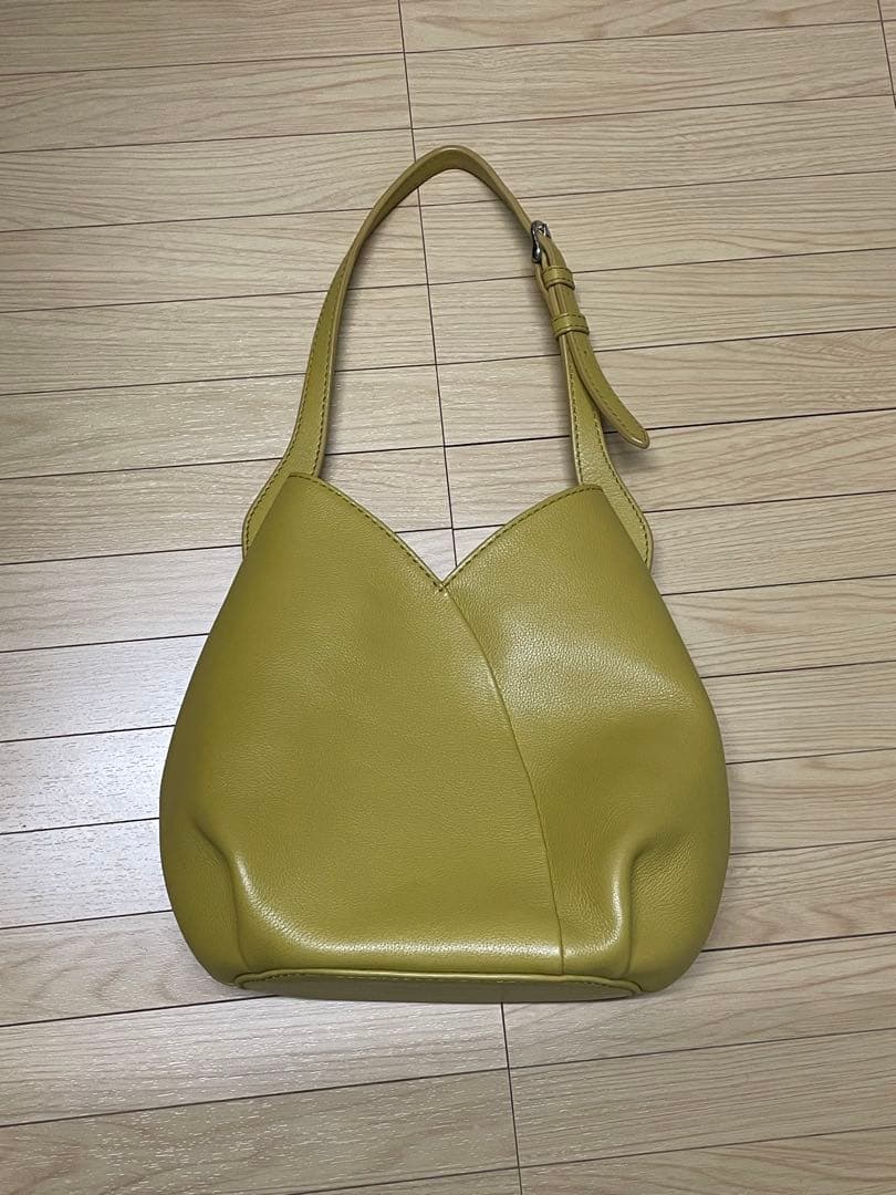 ミズバショウ　M イエロー