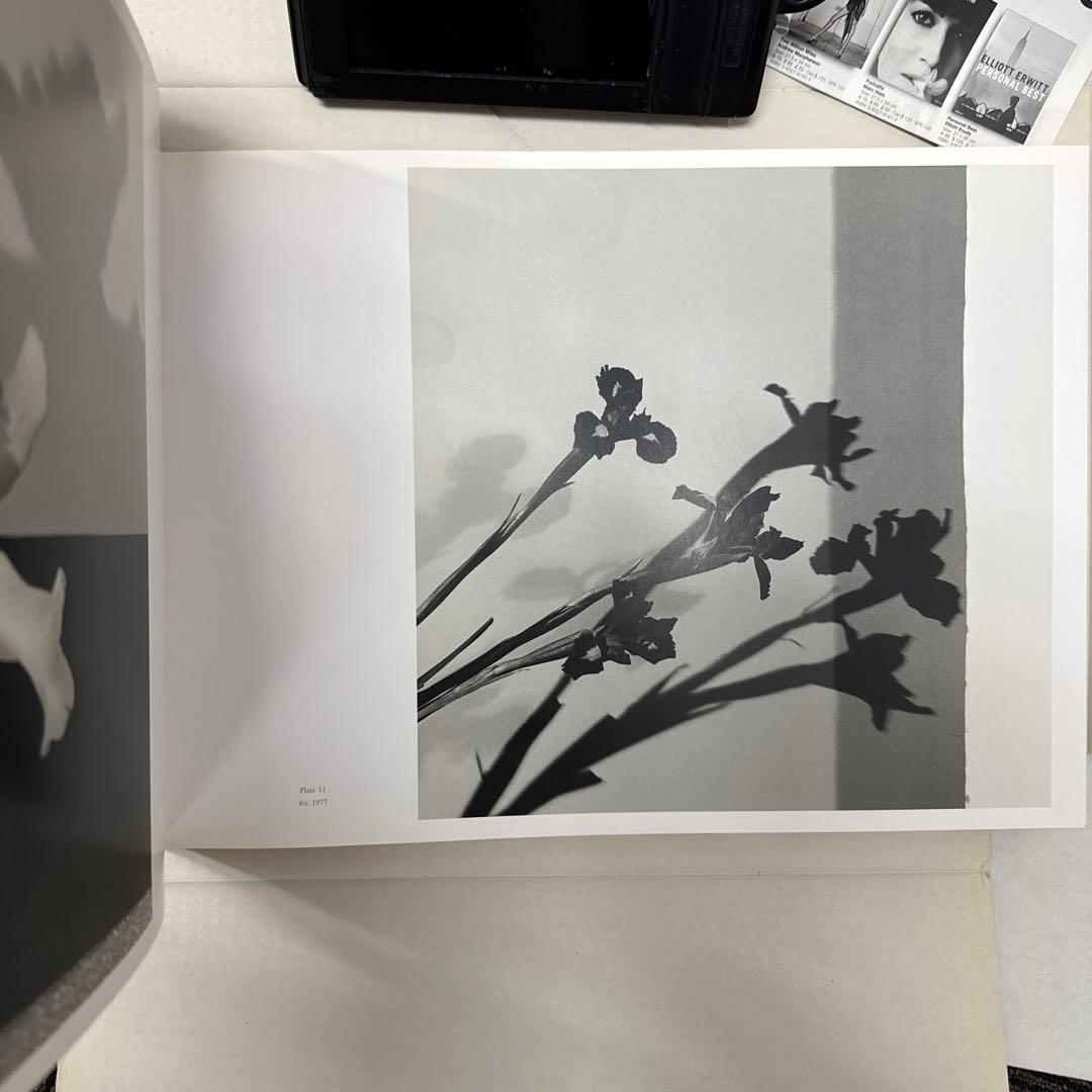 ロバート・メイプルソープ　フラワーズ