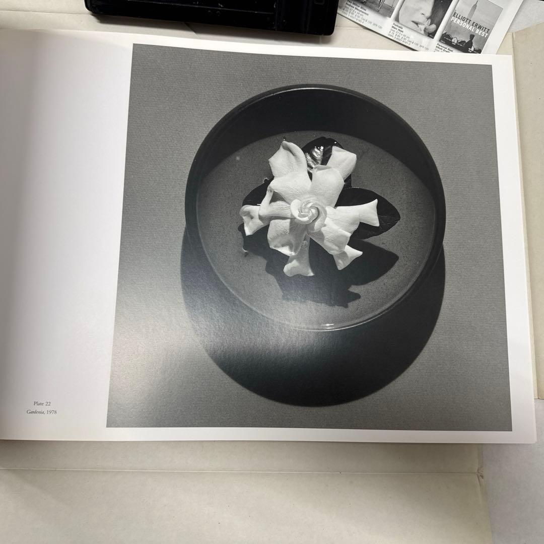 ロバート・メイプルソープ　フラワーズ