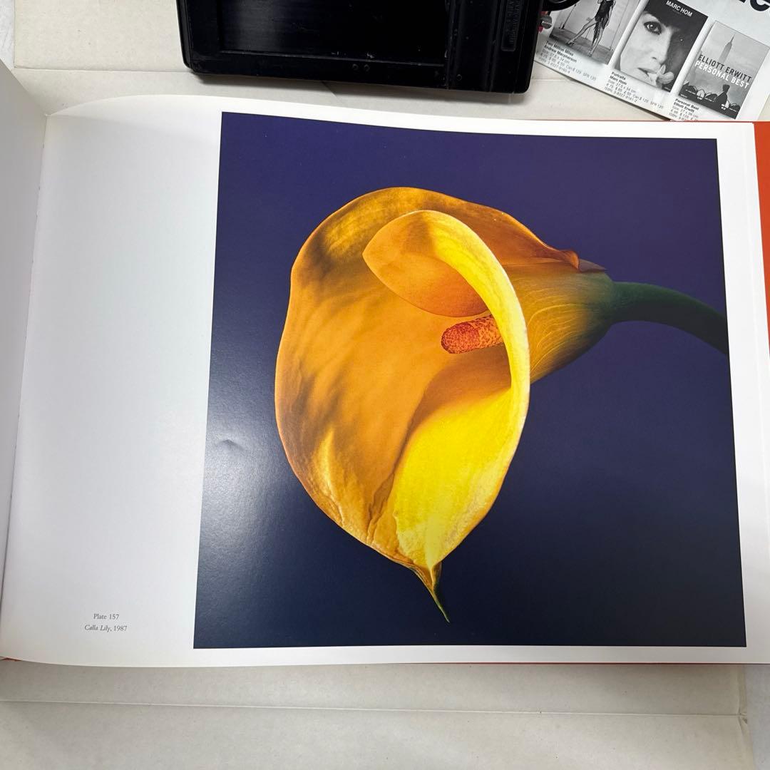 ロバート・メイプルソープ　フラワーズ