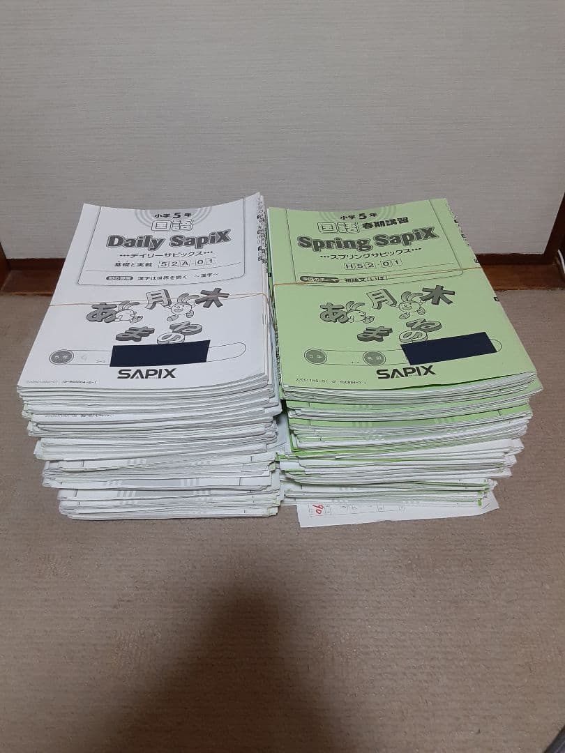 2020年度 サピックス 小学5年