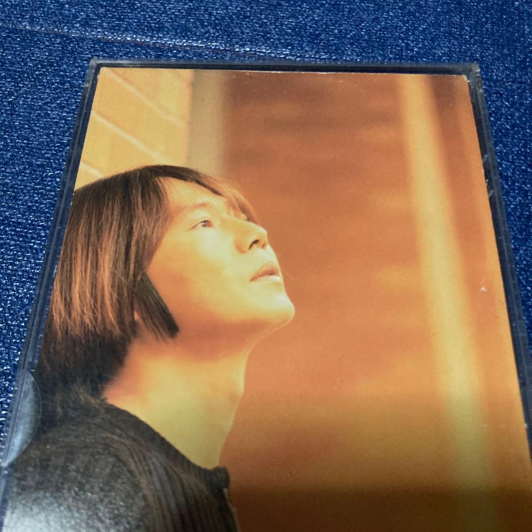 伊藤敏博 よわむし DXDL-20 8センチ8cm短冊邦楽シングルCD