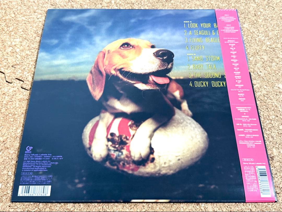 ★菊池ひみこ / フライング・ビーグル LP 180g重量盤 MHJL-440