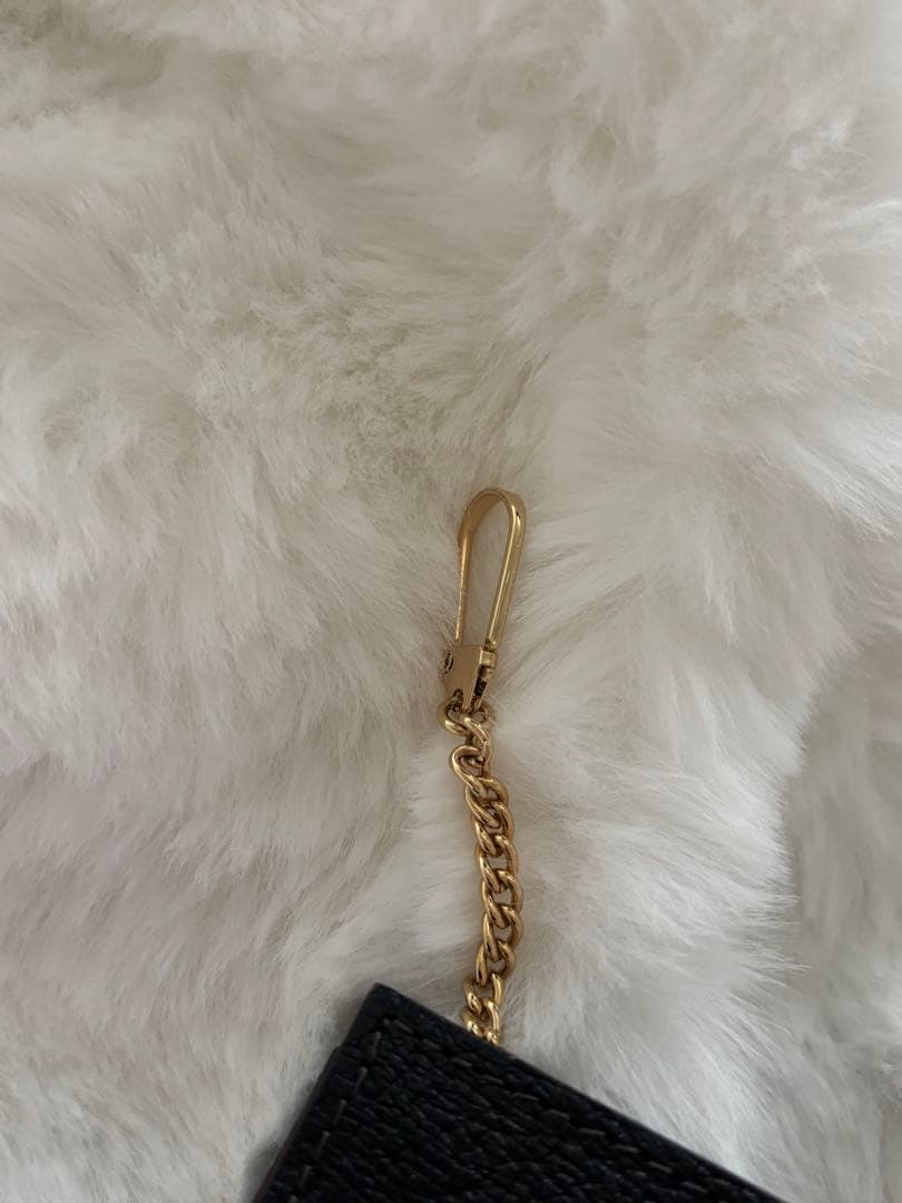 Vivienne Westwood オーブケース