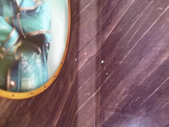 DVD シルク・ドゥ・ソレイユ キュリオス KURIOS /シルクドソレイユ