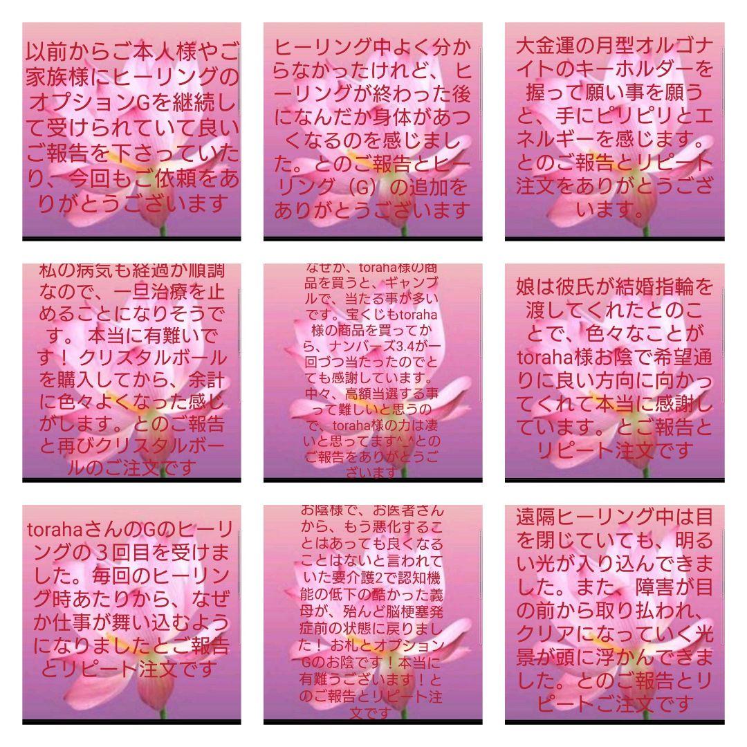 リピーター様（ꕥ瑠璃ꕥ様）の出品です（パワースプレー　メモリーオイル）