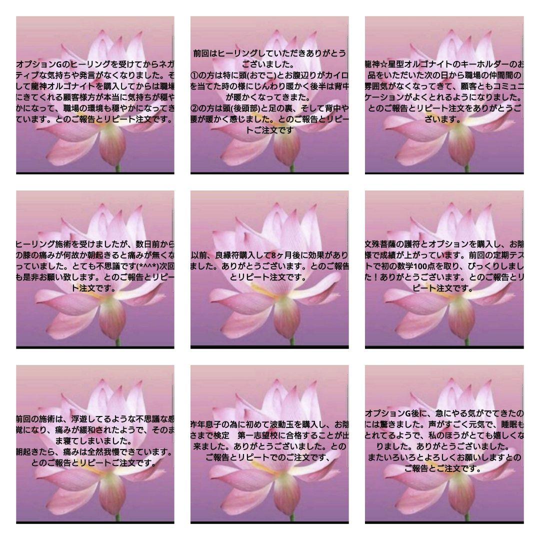 リピーター様（ꕥ瑠璃ꕥ様）の出品です（パワースプレー　メモリーオイル）