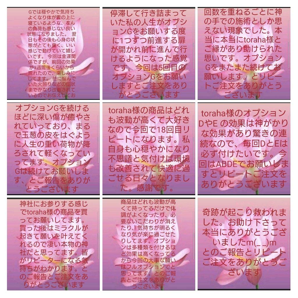 リピーター様（ꕥ瑠璃ꕥ様）の出品です（パワースプレー　メモリーオイル）