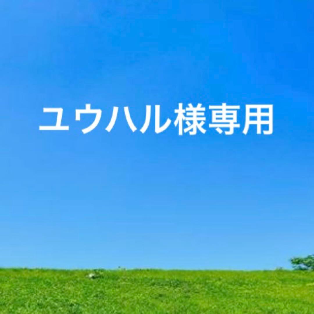 未使用　BONAVENTURA ボナベンチュラ　レザー二つ折り財布　ブラック　黒