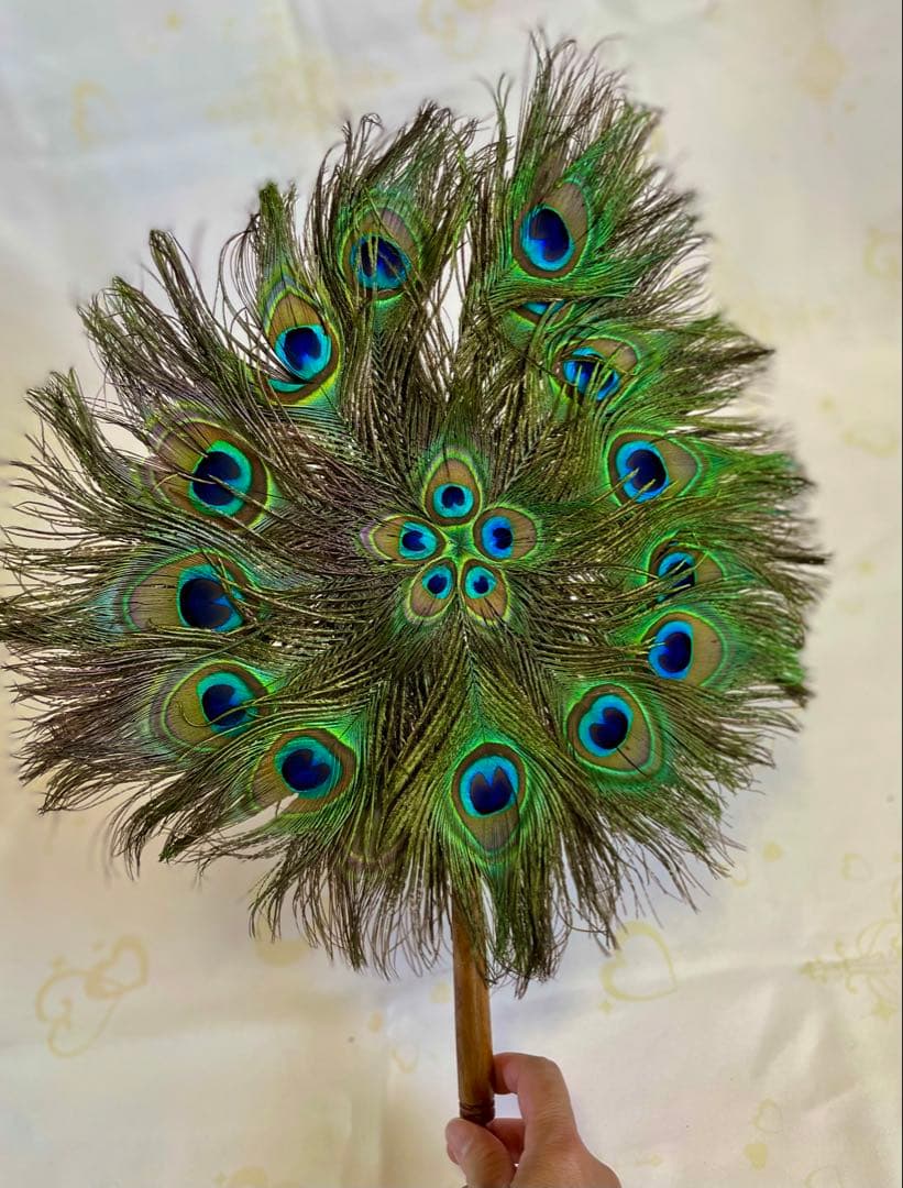 ★超貴重！縁起物★本物 孔雀の羽うちわ 特大52cm×40cm 2枚