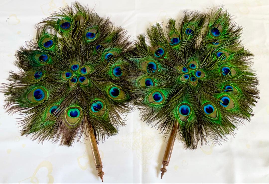 ★超貴重！縁起物★本物 孔雀の羽うちわ 特大52cm×40cm 2枚