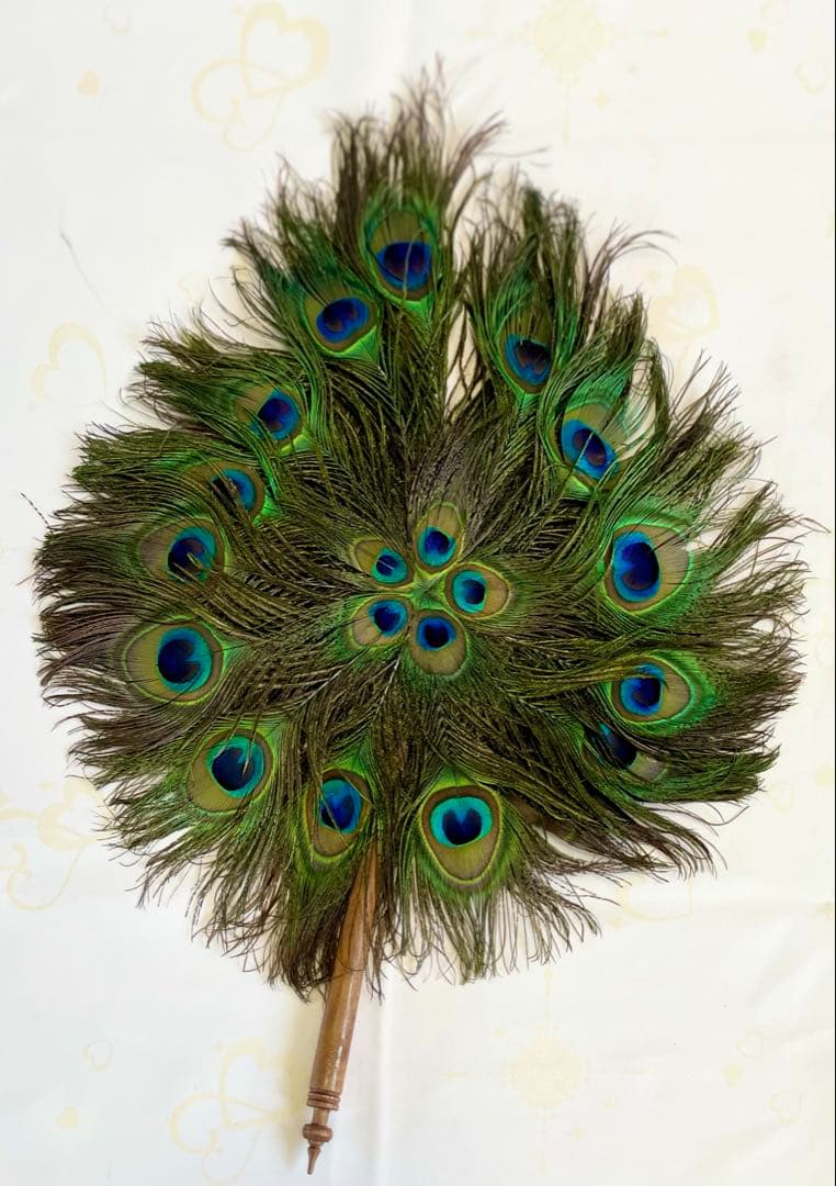 ★超貴重！縁起物★本物 孔雀の羽うちわ 特大52cm×40cm 2枚