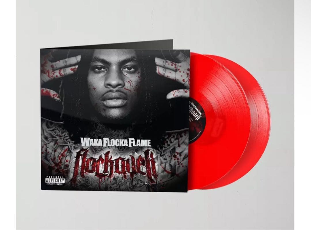 Waka Flocka Flame Flockaveli レコード