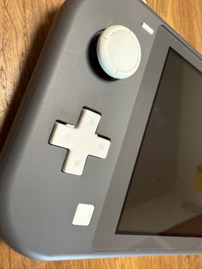 【美品】Nintendo Switch Lite グレー +保護ケース