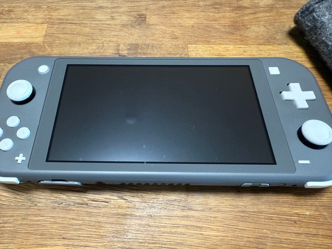 【美品】Nintendo Switch Lite グレー +保護ケース