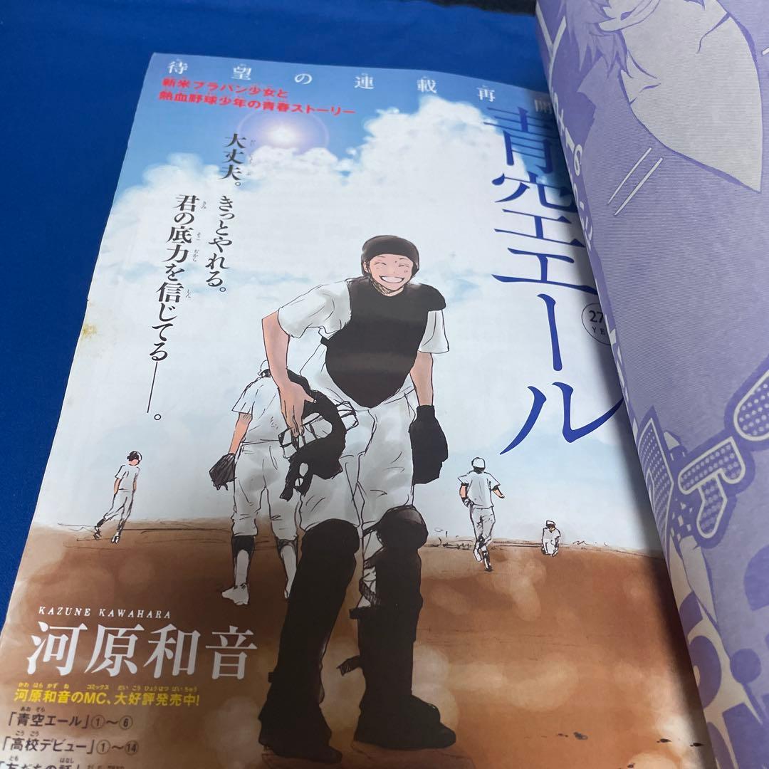 別冊マーガレット2011年6月号 コミックスきせかえカバー 高野苺