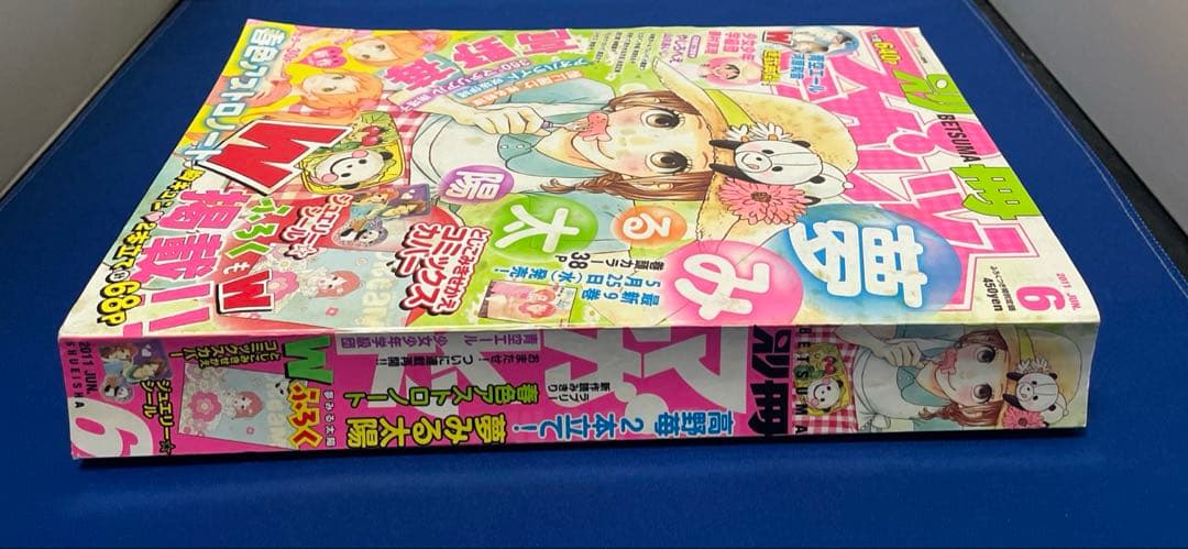 別冊マーガレット2011年6月号 コミックスきせかえカバー 高野苺