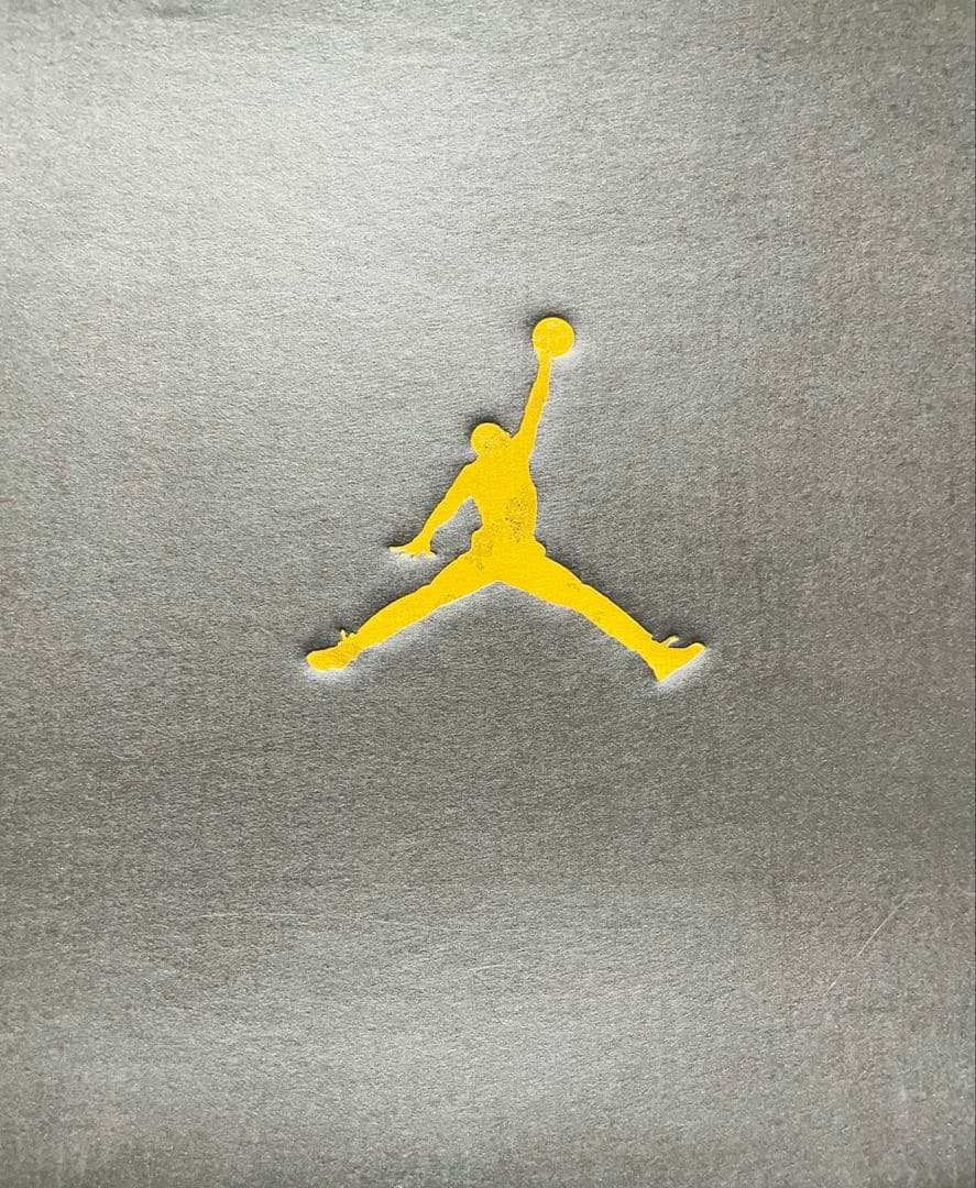Air Jordan トレーニングシューズ (JORDAN1 TD LOW)