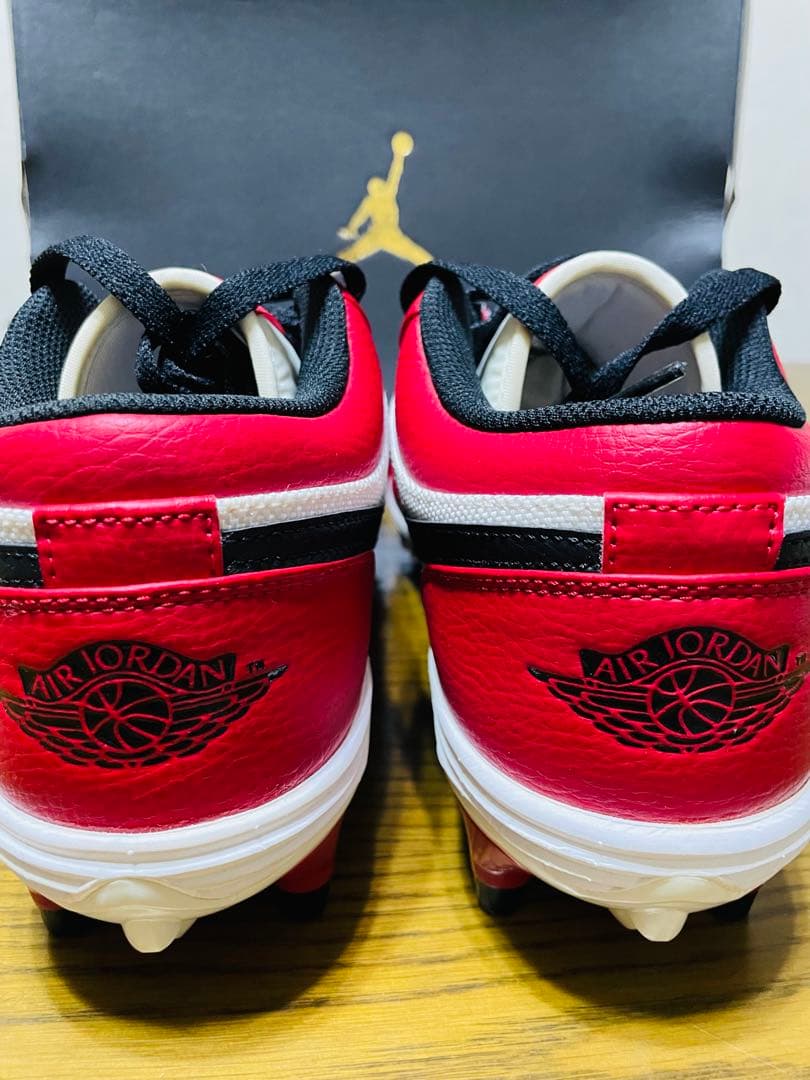 Air Jordan トレーニングシューズ (JORDAN1 TD LOW)