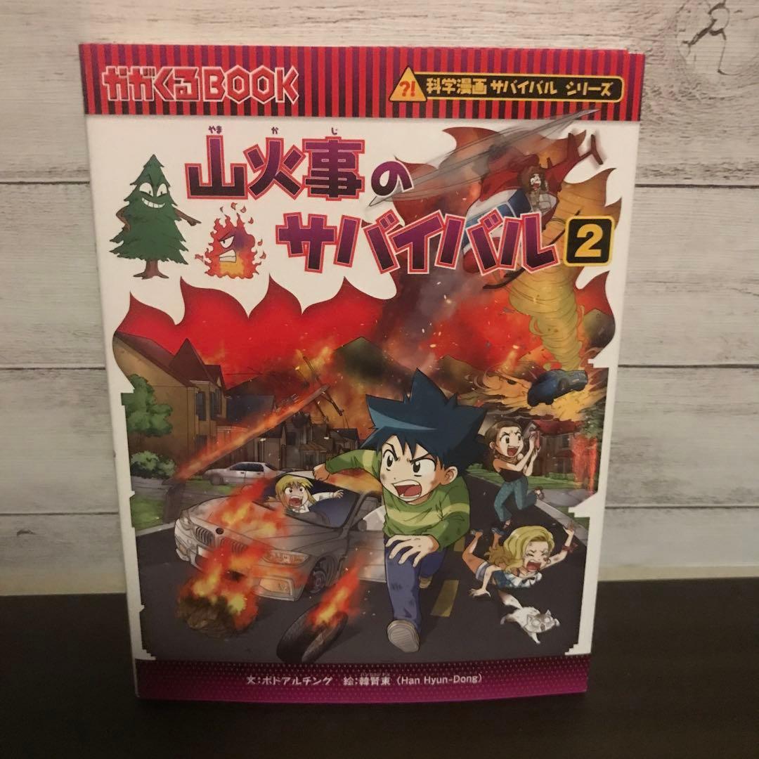 山火事のサバイバル2