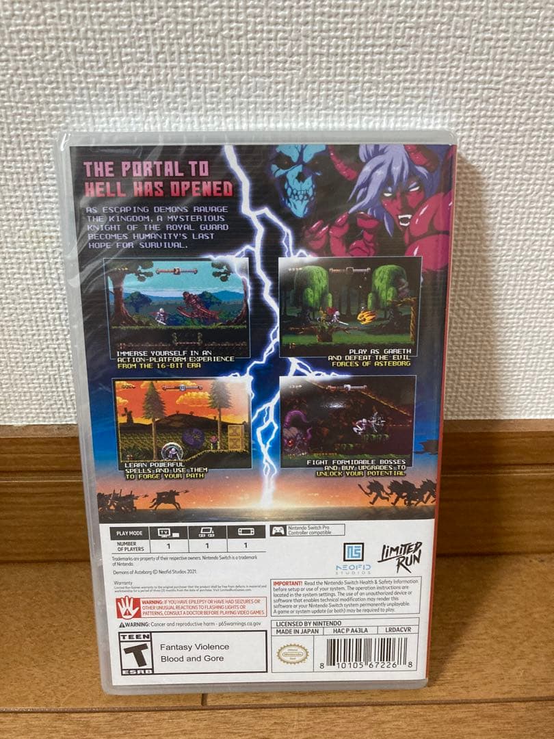 アステボルグの悪魔 Demons of Asteborg スイッチ