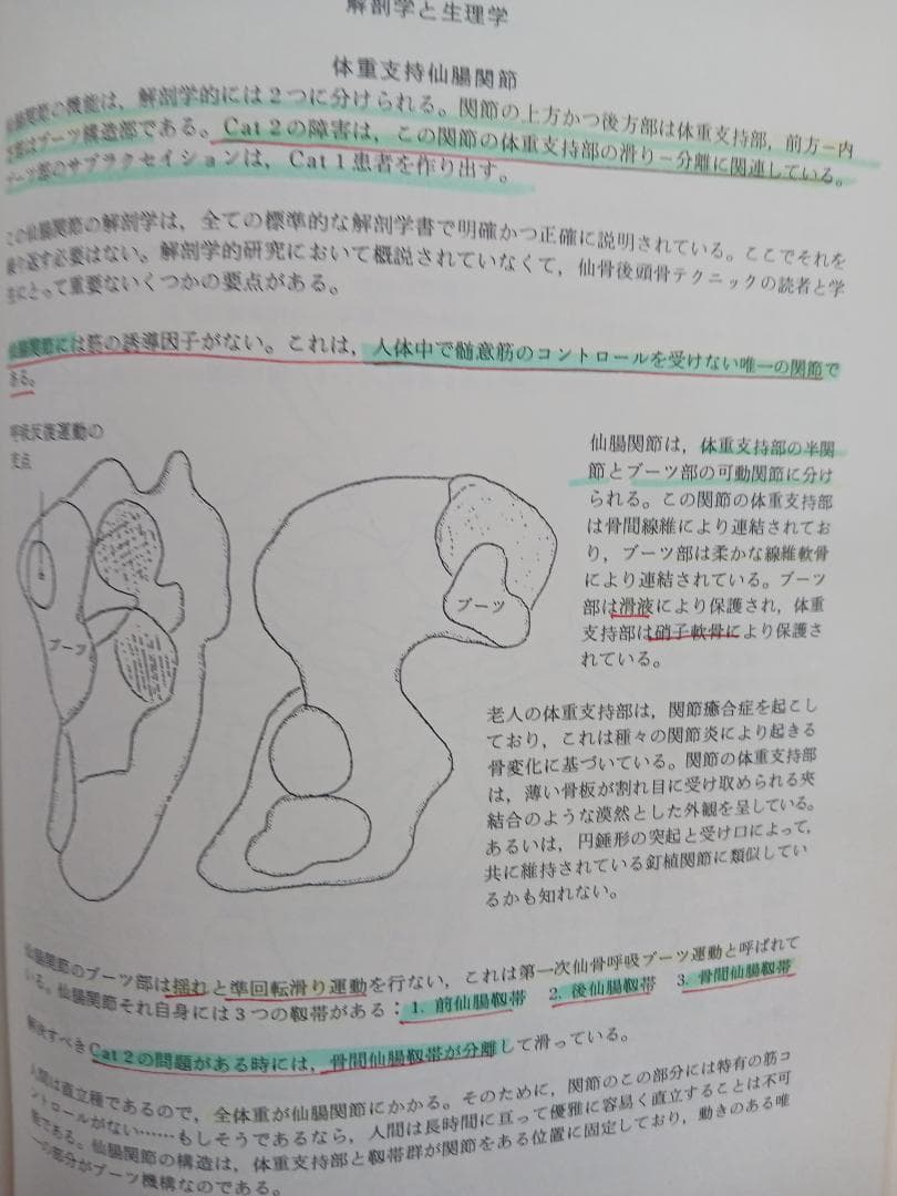 SOT（仙骨後頭骨テクニック）教本　1979