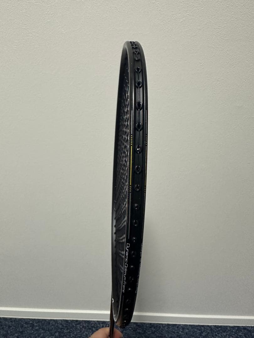 リーニン　WindStorm 79-H