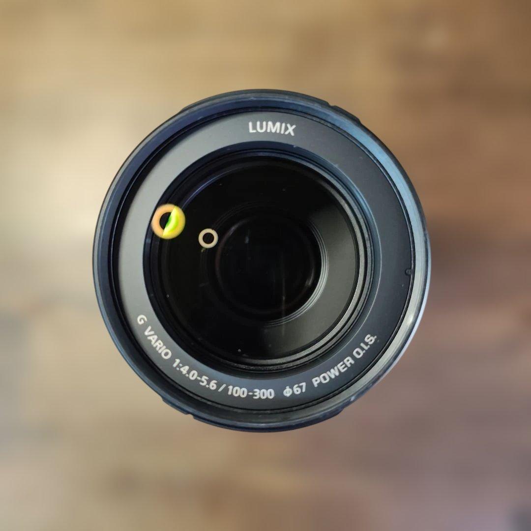 LUMIX G VARIO 100-300mm　H-FSA100300