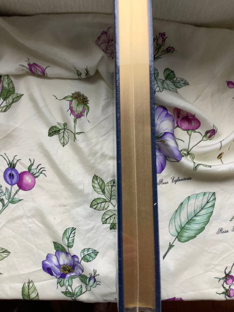 Rights of Man by Paine 人間の権利 トマス・ペイン