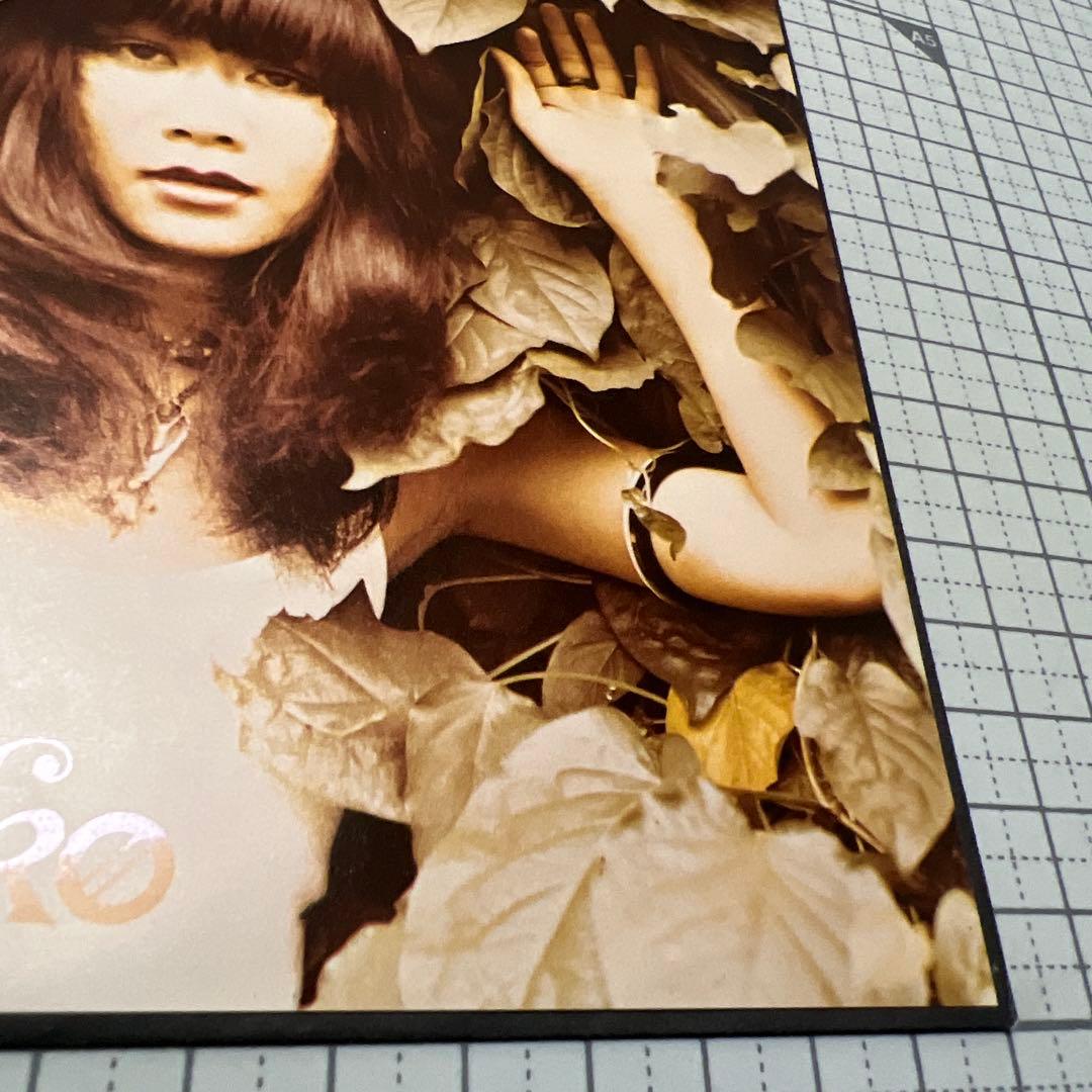 芝紀美子　流れて行きたい　醜女狩り　さいしゅとしみつ　見本盤　EP