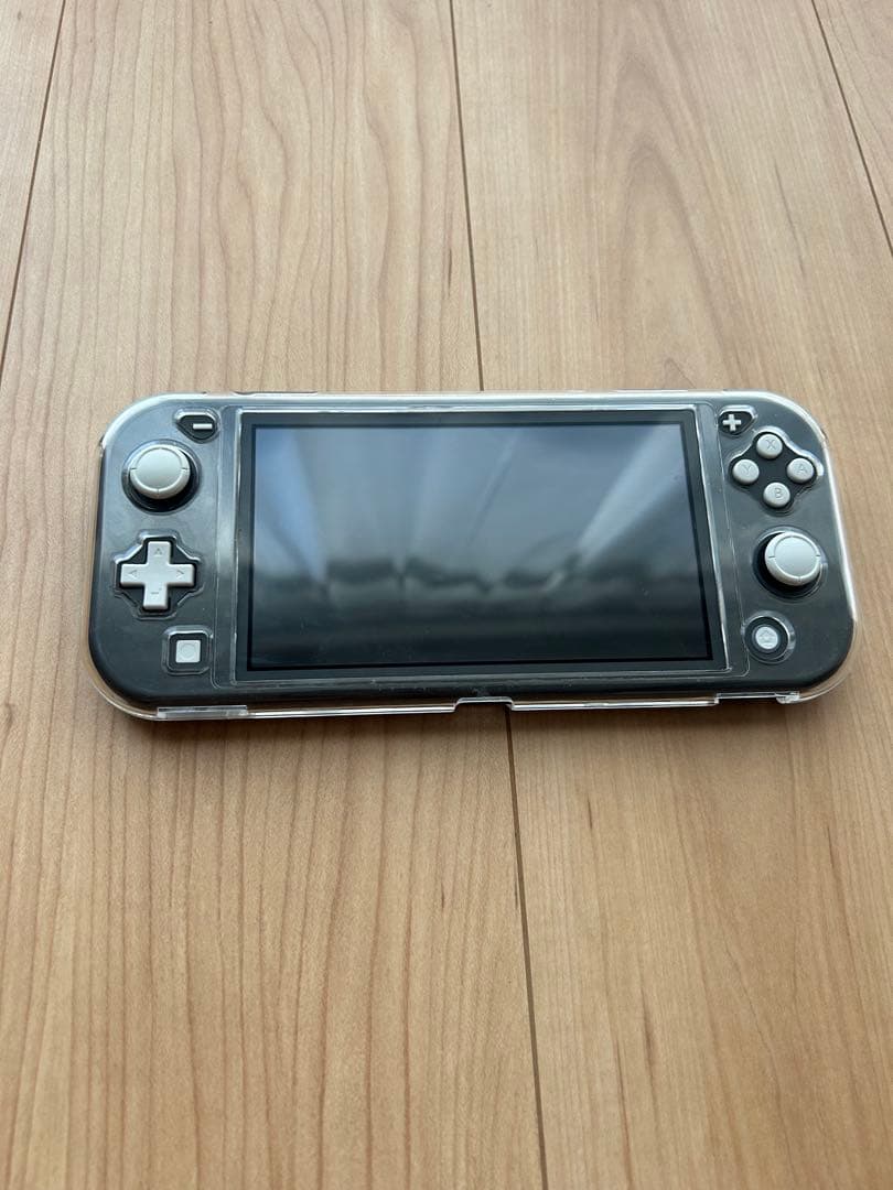Nintendo Switch Lite 本体 充電器 ケース付き