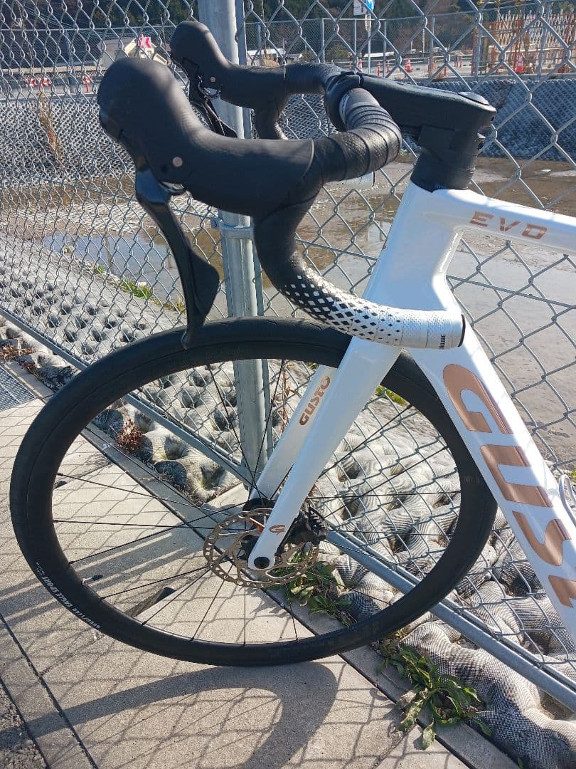 GUSTO COBRA EVO ELITE☆状態良好☆