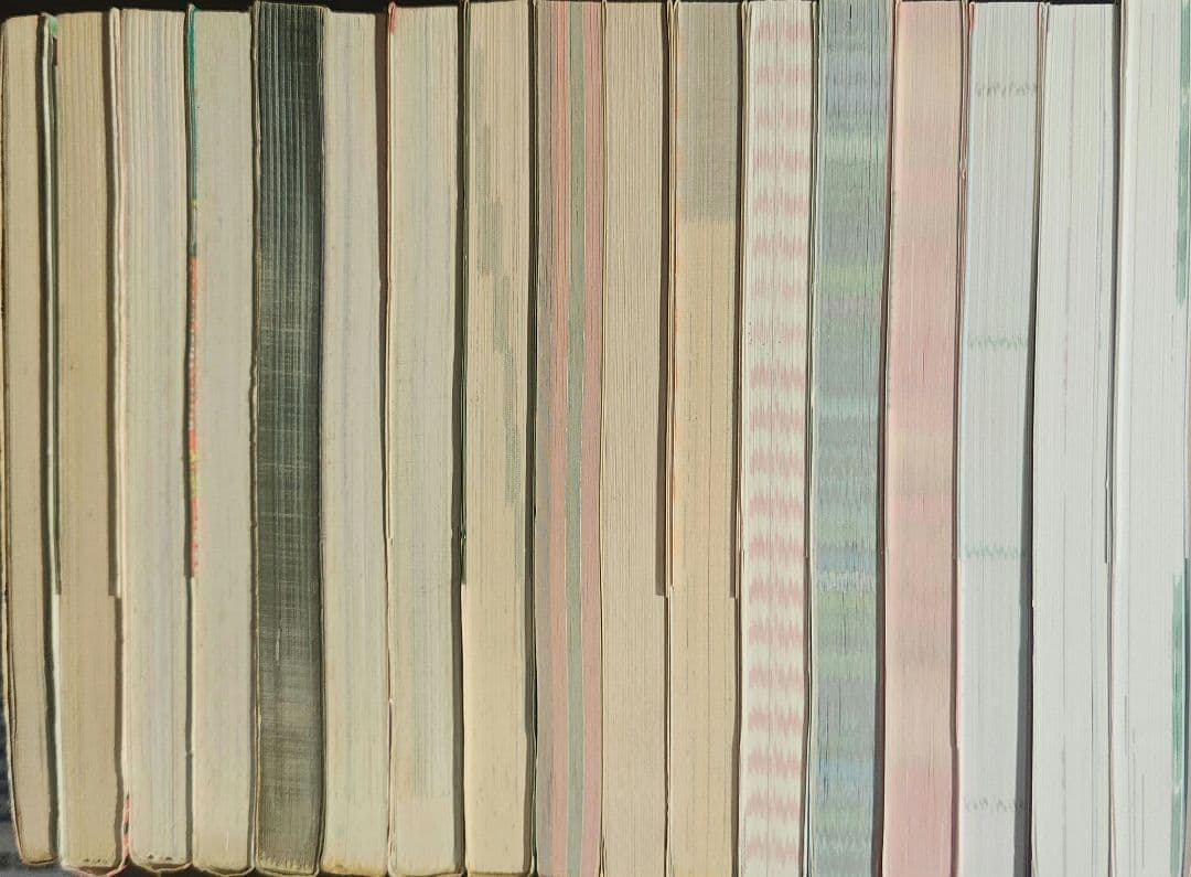 犬マユゲでいこう 既巻１８冊セット　石塚２祐子