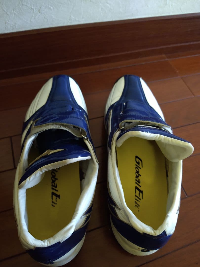 Mizunopro トレーニングシューズ ホワイト/ブルー 28センチ