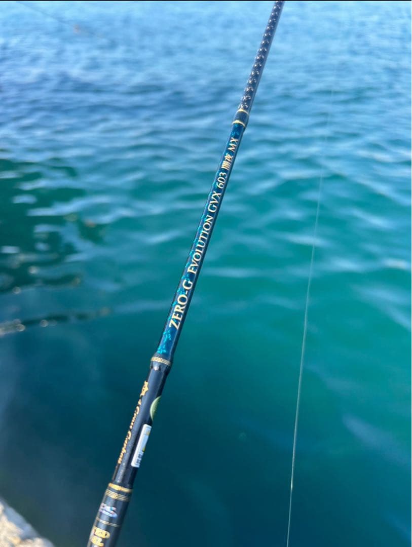 ZERO-G EVOLUTION GVX 603 闇夜 MX イカメタルロッド